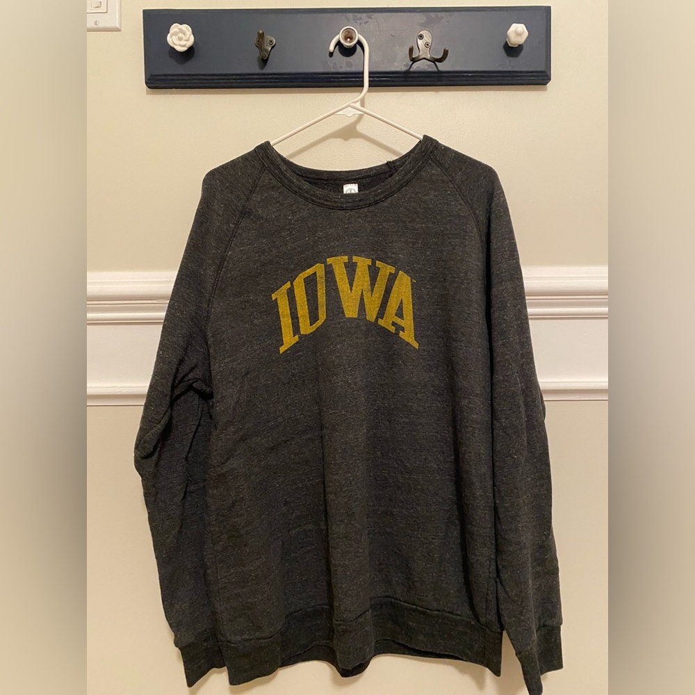 Cute Iowa crewneck - comfy and oversized style!